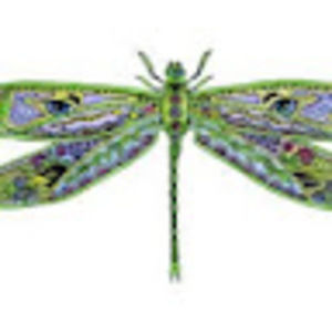 Meet your Posher, Mandy